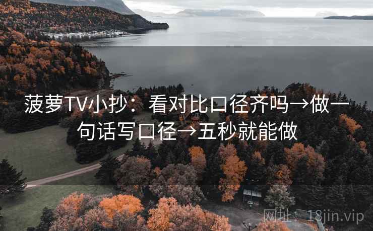 菠萝TV小抄：看对比口径齐吗→做一句话写口径→五秒就能做