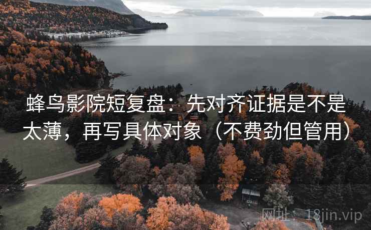 蜂鸟影院短复盘：先对齐证据是不是太薄，再写具体对象（不费劲但管用）